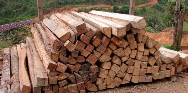 Causes and Effects of Deforestation - Manmade causes of deforestation