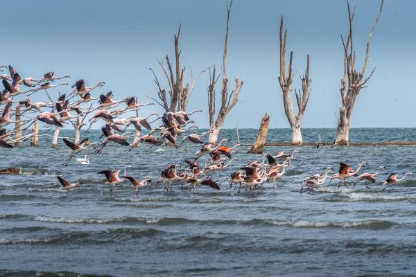 Are There Salt Water Lakes? - Mar Chiquita or Ansenuza Sea