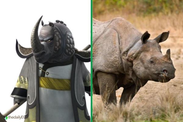 Exploring the Animals of Kung Fu Panda - Master Thundering Rhino (Rhinoceros)