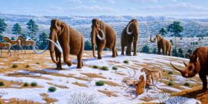 Megafauna Definition and Examples