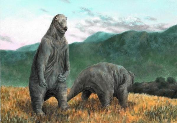 Megafauna Definition and Examples -