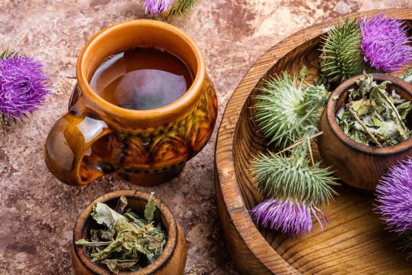 Herbal Infusions to Improve Fatty Liver Health - Milk thistle (Silybum marianum)