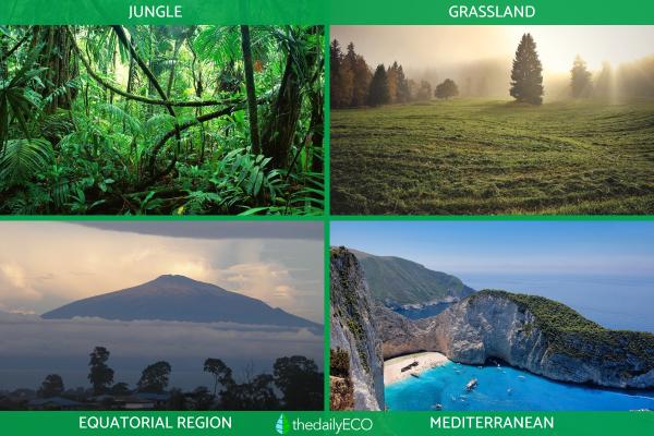 Natural Regions - Definition and Examples -