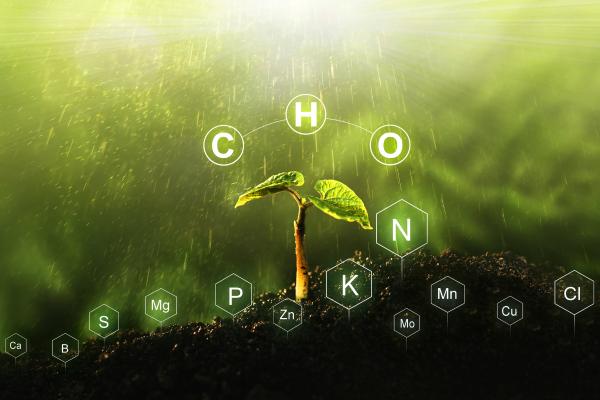 What Is the Composition of The Atmosphere? - Nitrogen