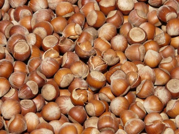 Diverse Types of Nuts and Their Nutritional Benefits - Other nuts