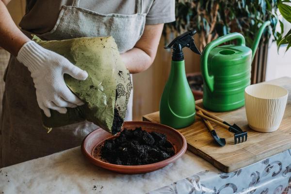 Peace Lily Plant Care - Peace lily soil and fertilizer