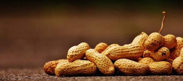 Diverse Types of Nuts and Their Nutritional Benefits - Peanuts