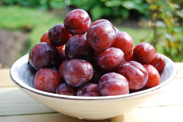 Types of Autumn Fruit - Fall Fruits - Plum