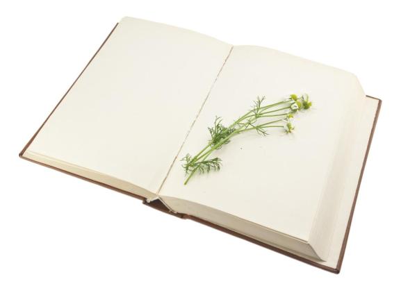 Best Ways to Preserve Flowers - Pressing