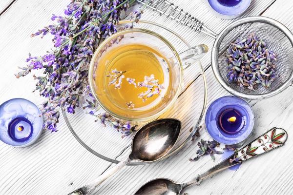 Lavender - Properties, Benefits, and Side Effects - Properties of lavender