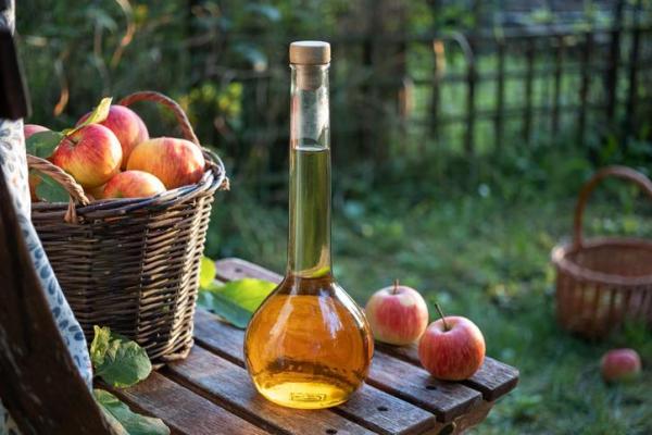 How to Use Vinegar for Plants - Properties of vinegar for plants