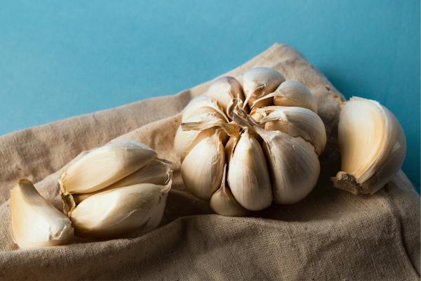 Effective Natural Ways to Get Rid of Slugs and Snails - Repel slugs and snails naturally with garlic