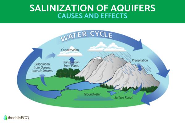 Salinization of Aquifers - Saline Aquifer Causes