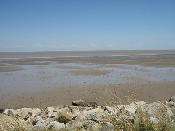 What Is a Bay in Geography? - Samborombón Bay