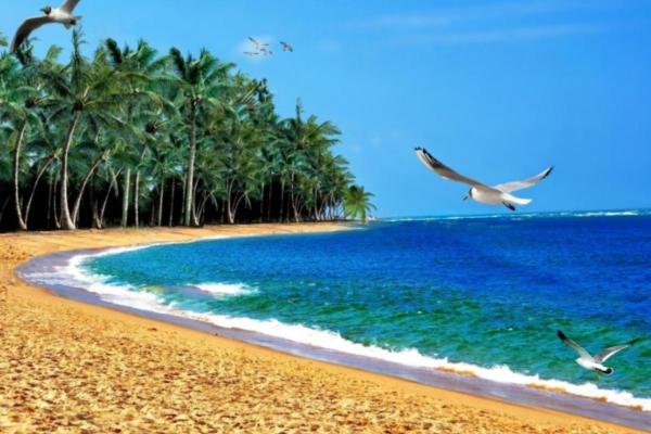 Why Does It Feel Hotter at the Beach? - Sea breezes