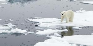 Sea Ice Definition, Formation and Examples