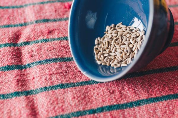 Diverse Types of Nuts and Their Nutritional Benefits - Seed nuts