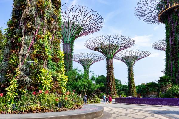 What Are the Most Sustainable Cities in the World? - Singapore (Republic of Singapore)