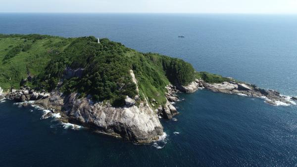 The World's Most Dangerous Places - Snake Island (Brazil)