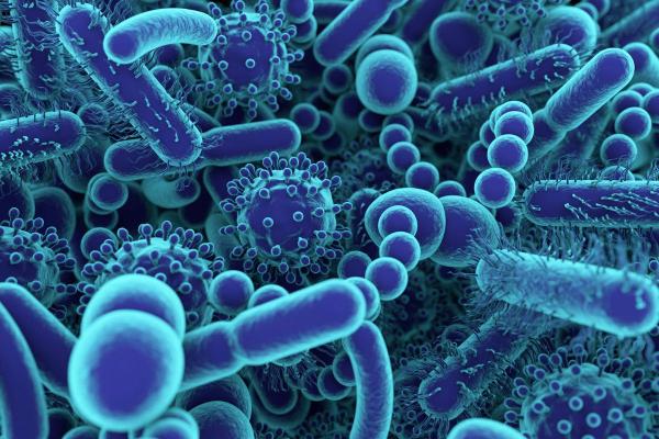 What is the Exposome? - Definition and Domains - Specific external exposome