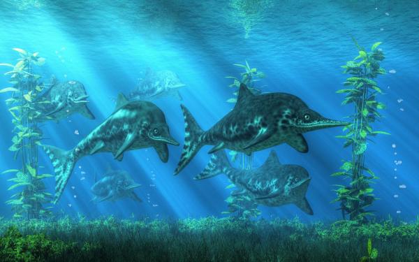 Were There Ocean Dinosaurs? - Stenopterygius spp.
