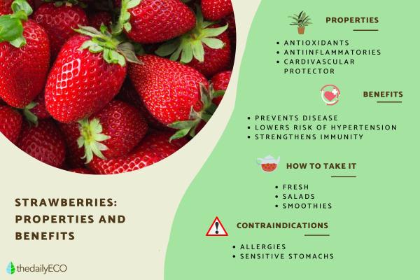 Strawberry Properties, Benefits and Contraindications