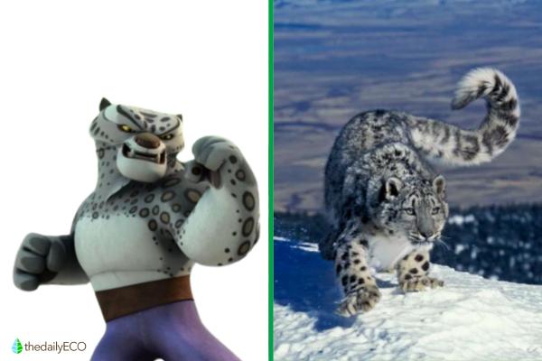 Exploring the Animals of Kung Fu Panda - Tai Lung (Snow Leopard)