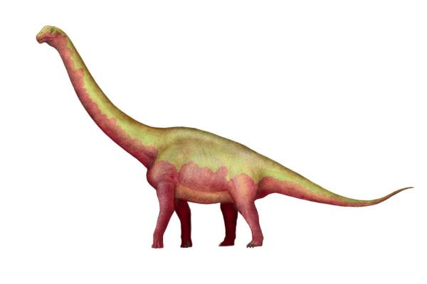 What Dinosaurs Were Found in Spain? - Tastavinsaurus sanzi