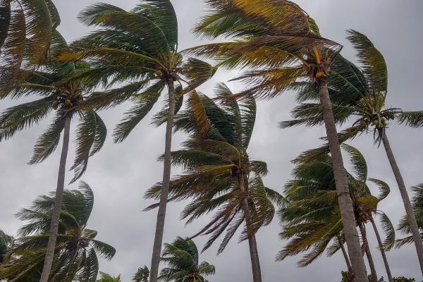 What Is General Atmospheric Circulation? - The Coriolis effect