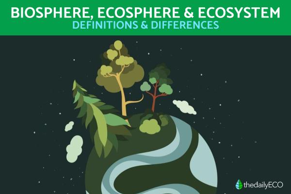 The Difference Between Biosphere, Ecosphere and Ecosystem