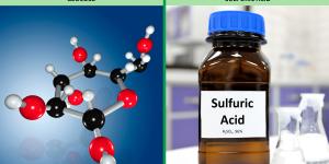 The Difference Between Organic and Inorganic Compounds