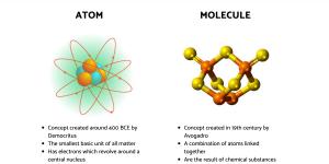 The Differences Between Atoms and Molecules