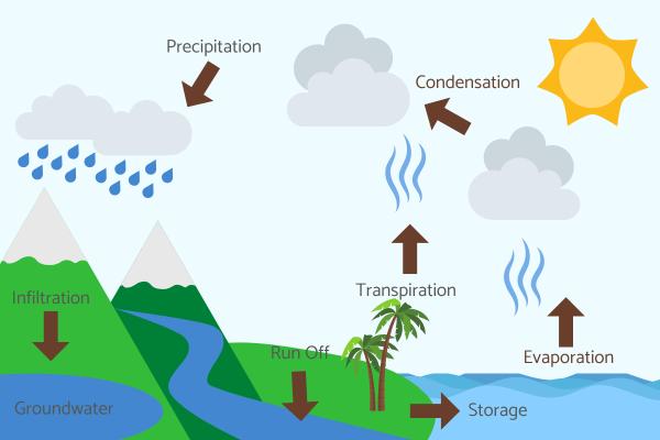 What Is the Water Cycle and Its Importance? - The stages of the water cycle