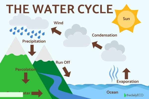 What Is the Hydrosphere? - Definition and Facts - The water cycle