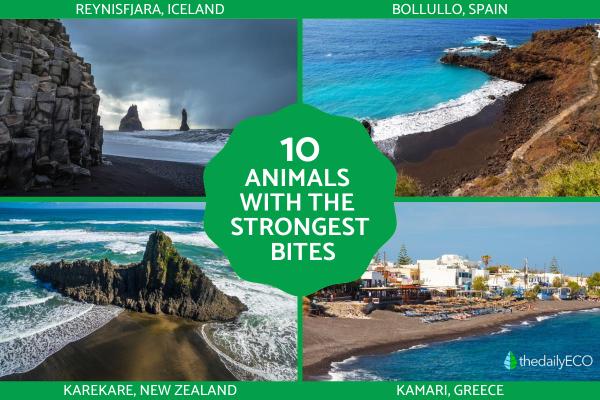 Top Black Sand Beaches Around the World