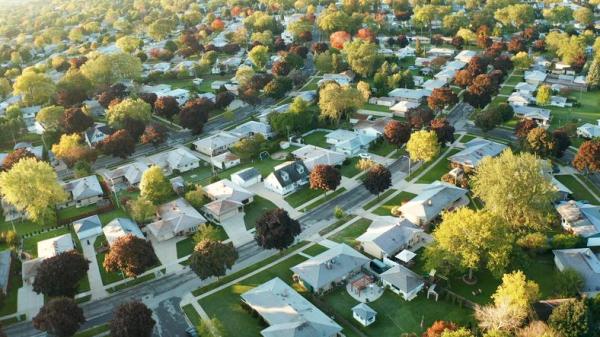 Why Trees Are Essential - Trees help save energy