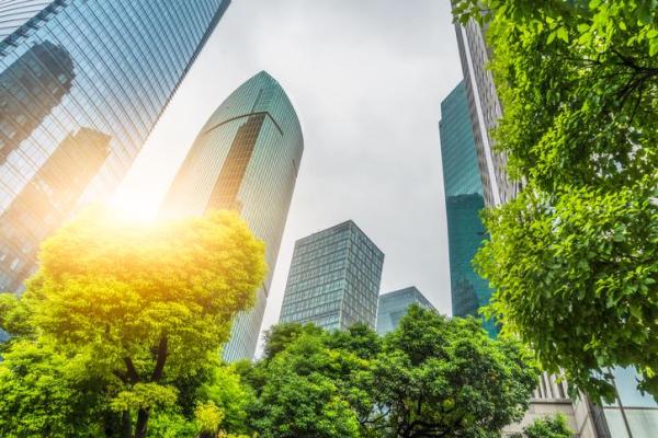 Why Trees Are Essential - Trees lower outdoor temperatures
