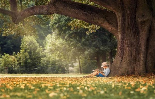 Why Trees Are Essential - Trees protect from the sun's UV rays
