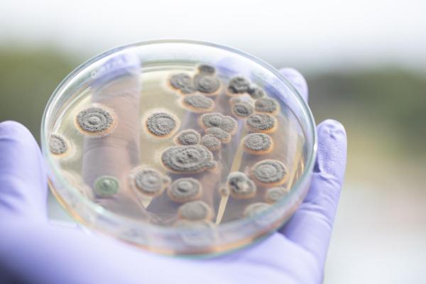 What Is the Goal of Bioremediation? - Types of bioremediation