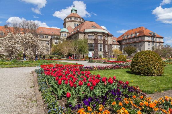 What Is a Botanical Garden? - Types of botanical gardens