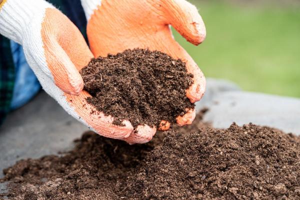 Chelated Iron for Plants - Types and Uses - Types of chelated iron for plants