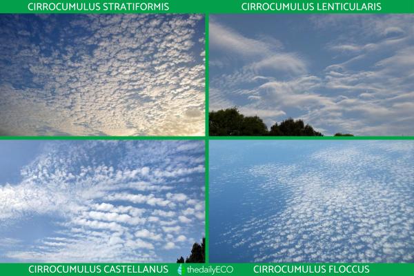 What Are Cirrocumulus Clouds? - Types of cirrocumulus clouds