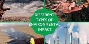 Types of Environmental Impact