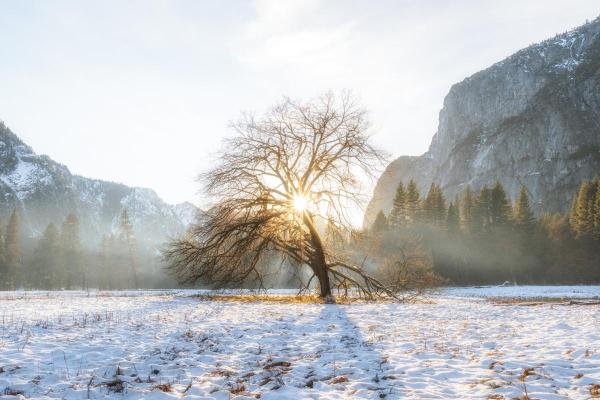 What Is Frost and How Is It Different From Freeze? - Types of frost according to their appearance and effects