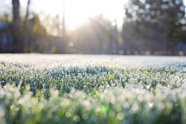 What Is Frost and How Is It Different From Freeze? - Types of frost according to their climatological origin