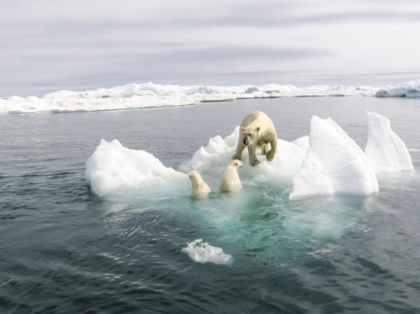 What Is Glacial Erosion? - Types of glacial erosion
