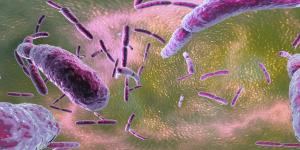 Types of Microbiome - Definition and Examples