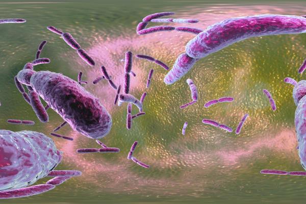 Types of Microbiome - Definition and Examples