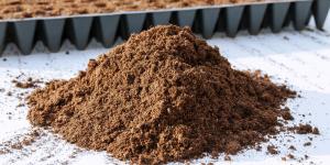 Types of Peat Moss for Plants