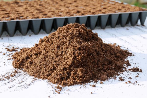 Types of Peat Moss for Plants
